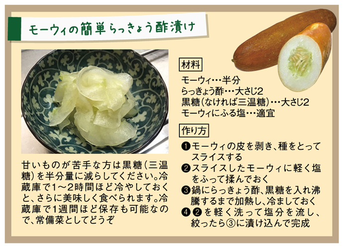 ヤギ子の菜園計画　第3回