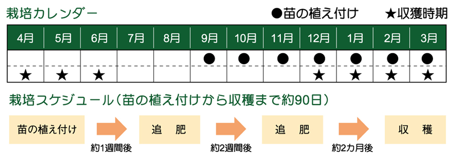 ヤギ子の菜園計画 第7回 ガーデニング ライフスタイル 住宅情報紙 週刊かふう 新報リビングニュース かふうweb