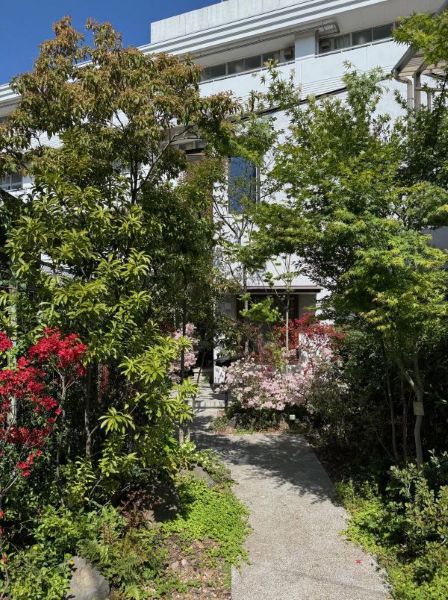 僕の好きな風景　第95回　庭が目覚めた
