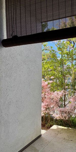 僕の好きな風景　第95回　庭が目覚めた