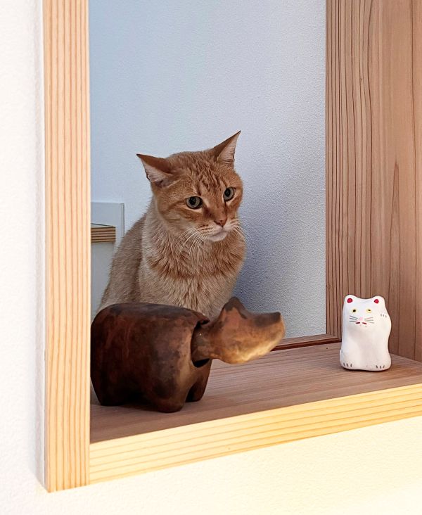 僕の好きな風景　第101回　人の居場所、猫の居場所