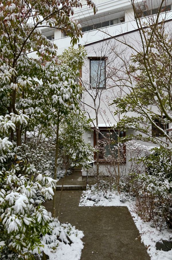 僕の好きな風景　第105回　天からの贈り物・・・・・・雪を愛でる