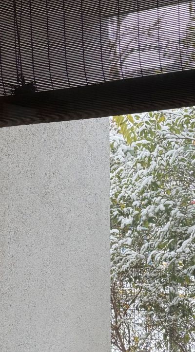 僕の好きな風景　第105回　天からの贈り物・・・・・・雪を愛でる